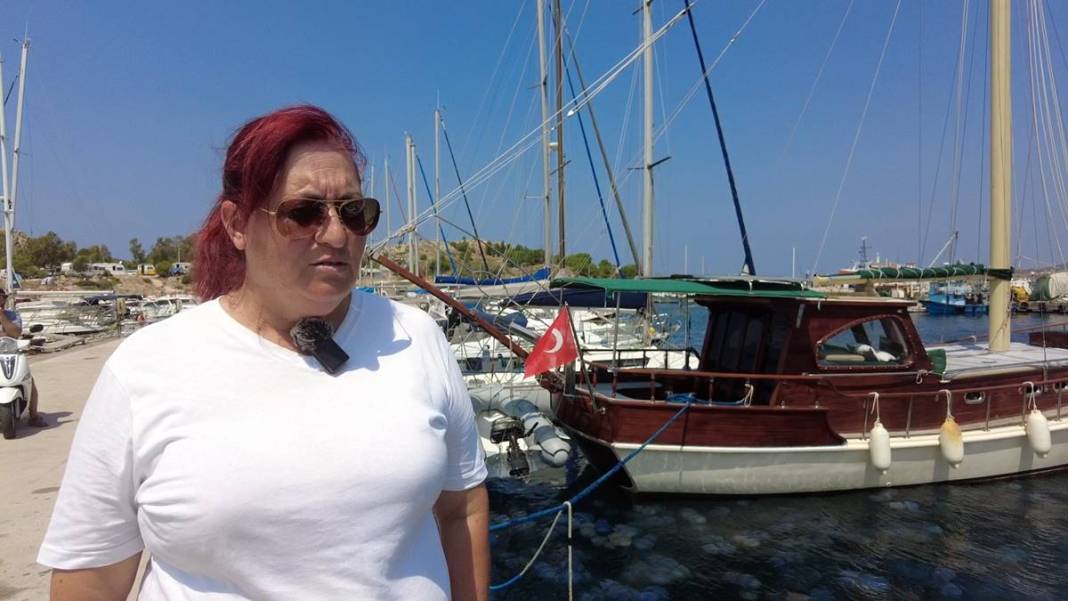 Yüzlercesi sahile vurdu, dokunan anında zehirleniyor! Mavi renklilere sakın yaklaşmayın, ölüm tehlikesi var 17